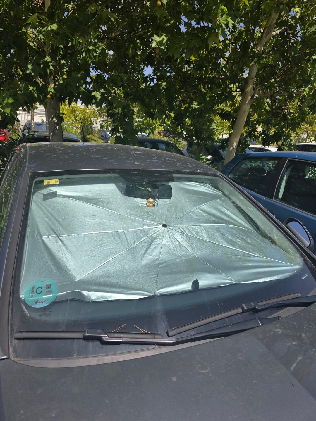 Customer photo review of Parasol Plegable para Coche Tipo Paraguas