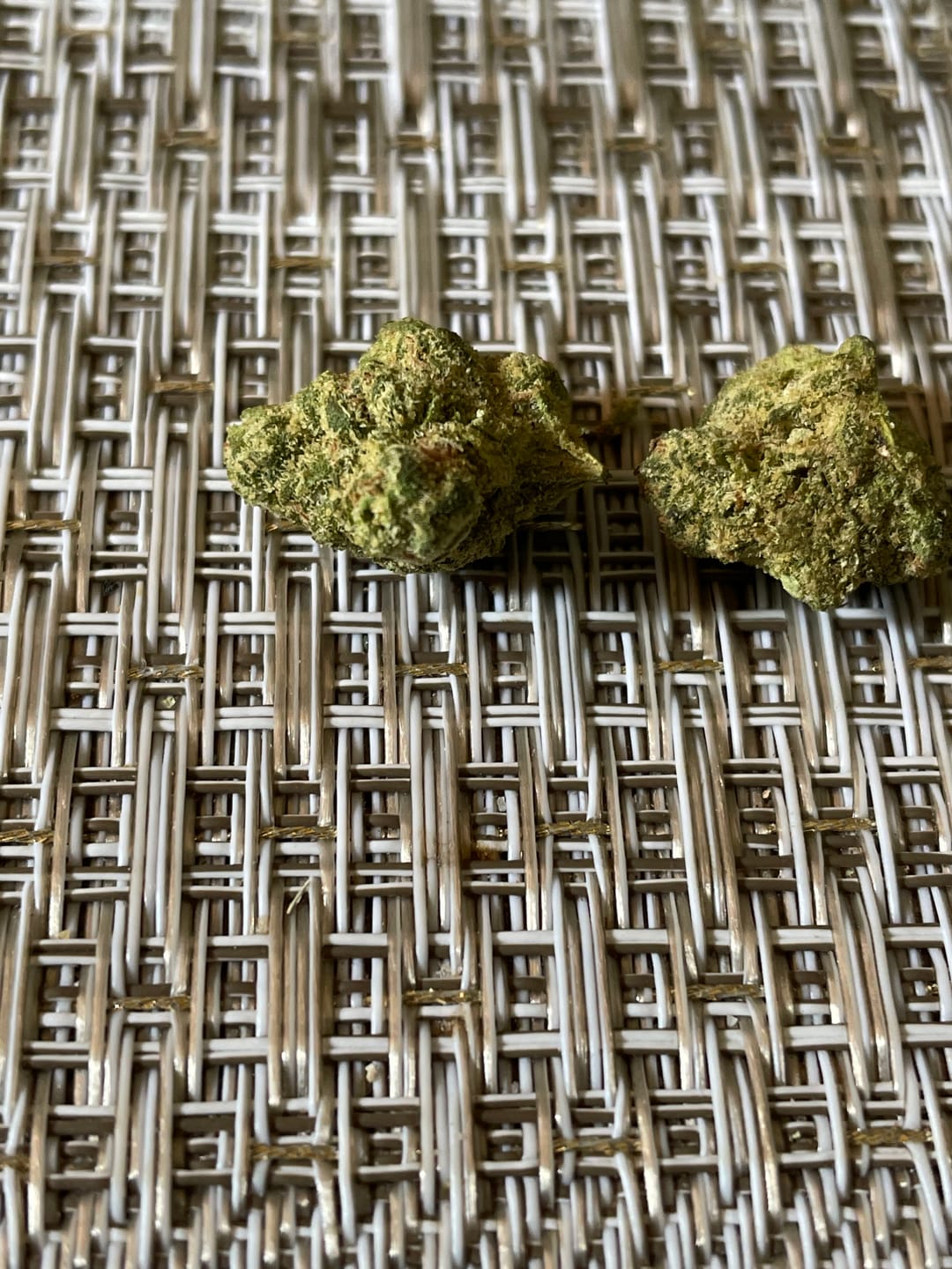 Customer photo review of Sunrise to Sunset Exotic Smalls Bundle