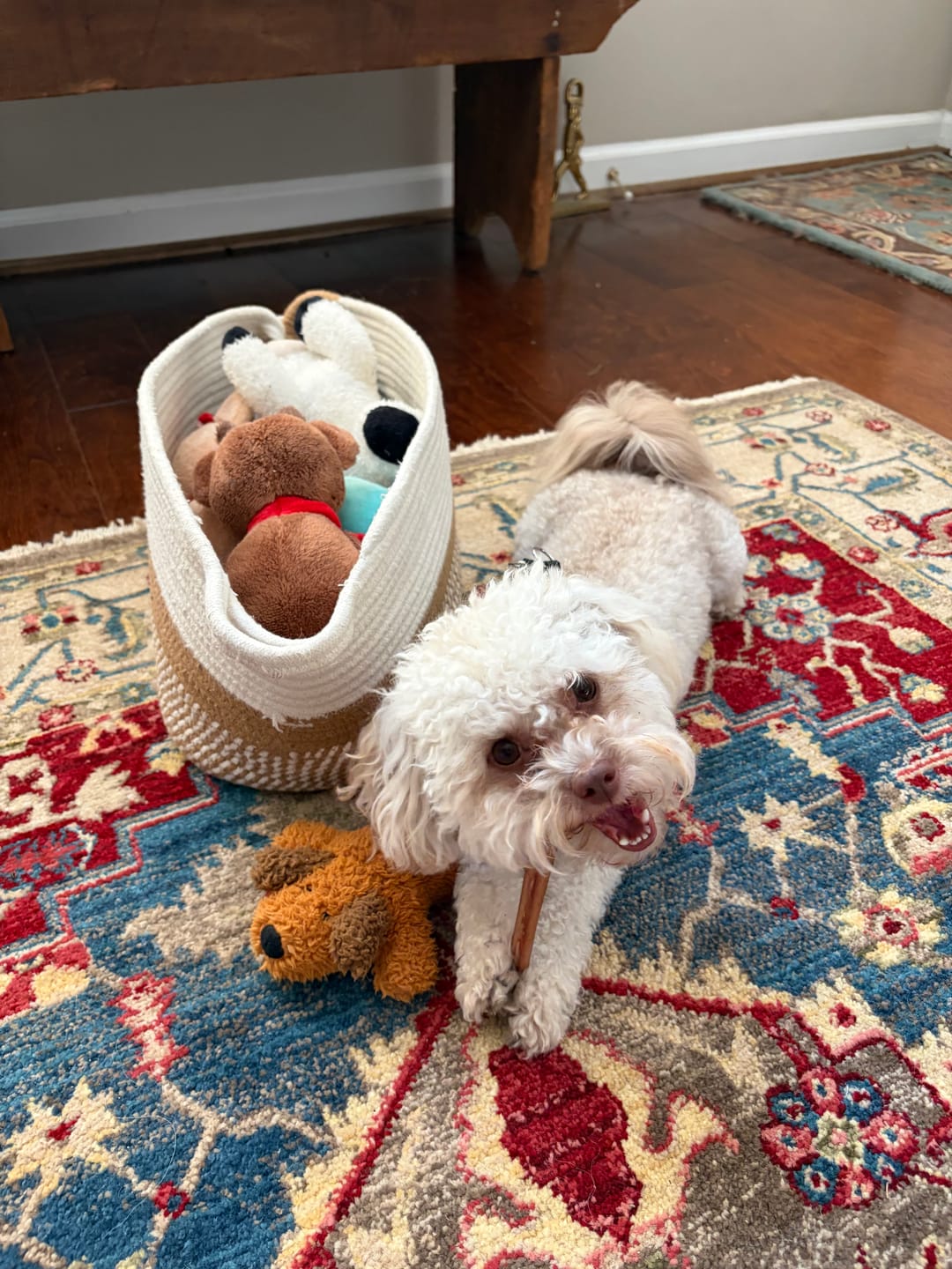 Customer photo review of Thin Bully Sticks