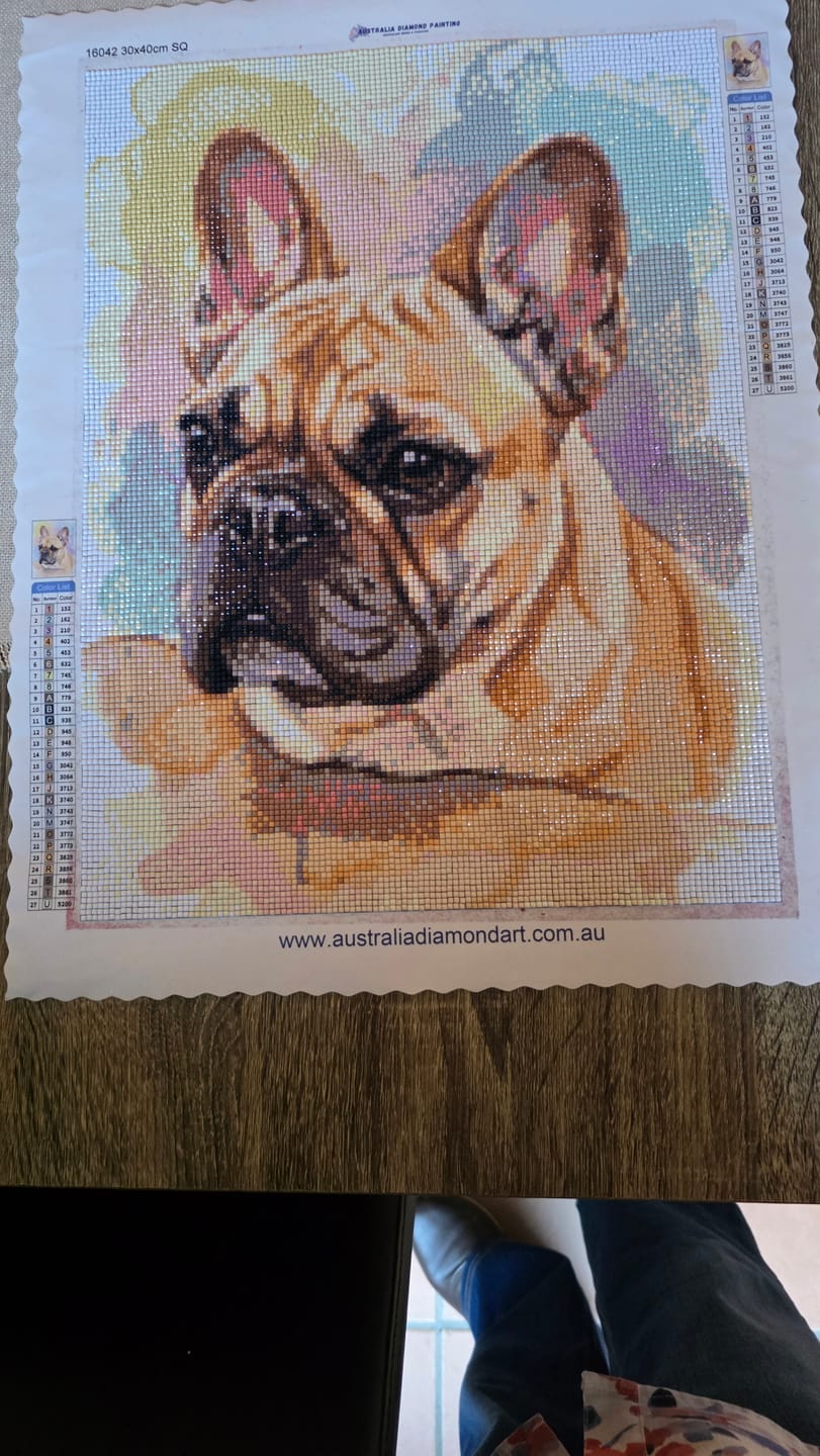 Customer photo review of Custom Diamond Painting