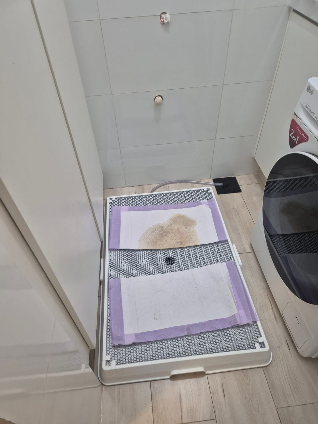 Customer photo review of Weasy Cão | Banheiro inteligente para cachorro