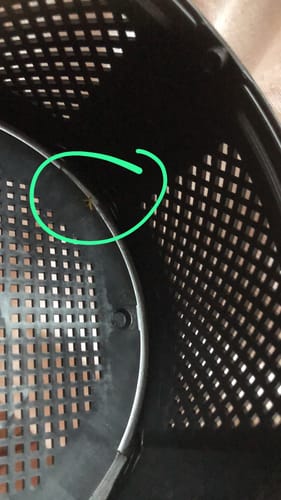 Customer photo review of Lámpara Antimosquitos por Succión USB
