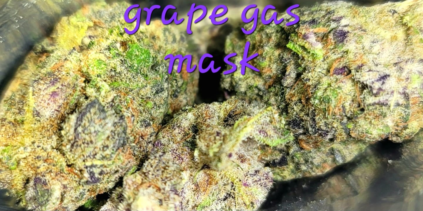 Customer photo review of Grape Gas Mask Exotic THCA