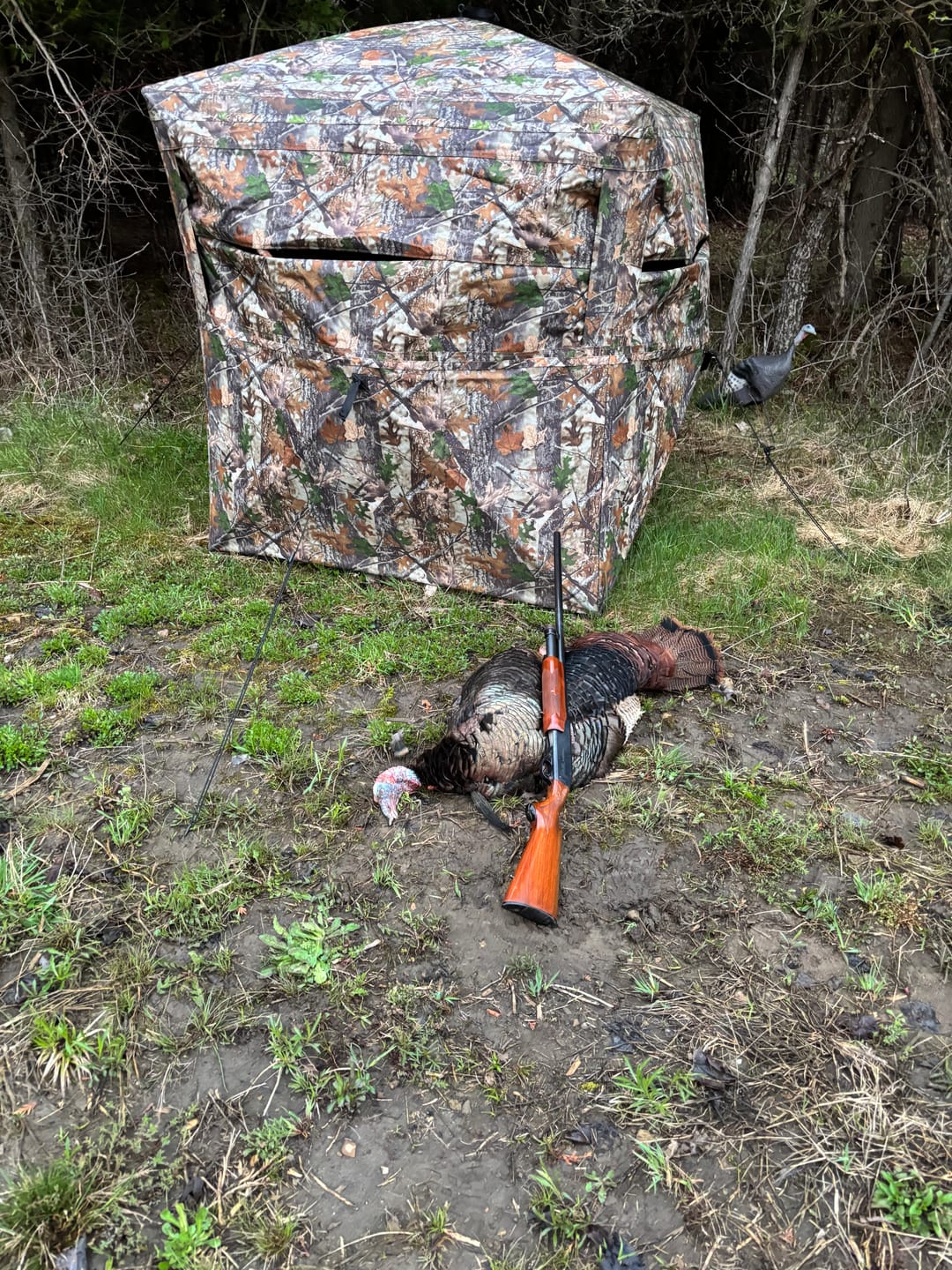 Customer photo review of FLASH SALE VisX/VisMax 270 Degree Ground Blind | See-Through Duck Blind & Portable Pop-Up Deer Blind | Camouflage Hunting Blinds & Best Budget Ground Options