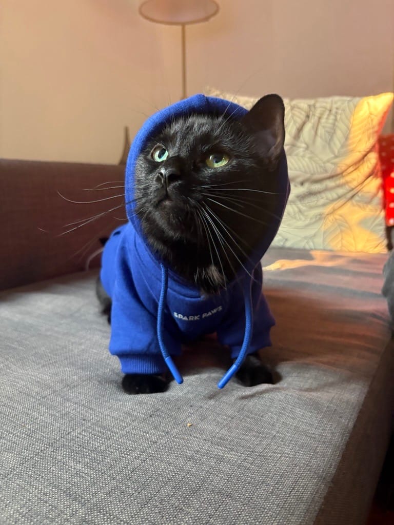 Customer photo review of Essential Dog Hoodie - Midnight Blue