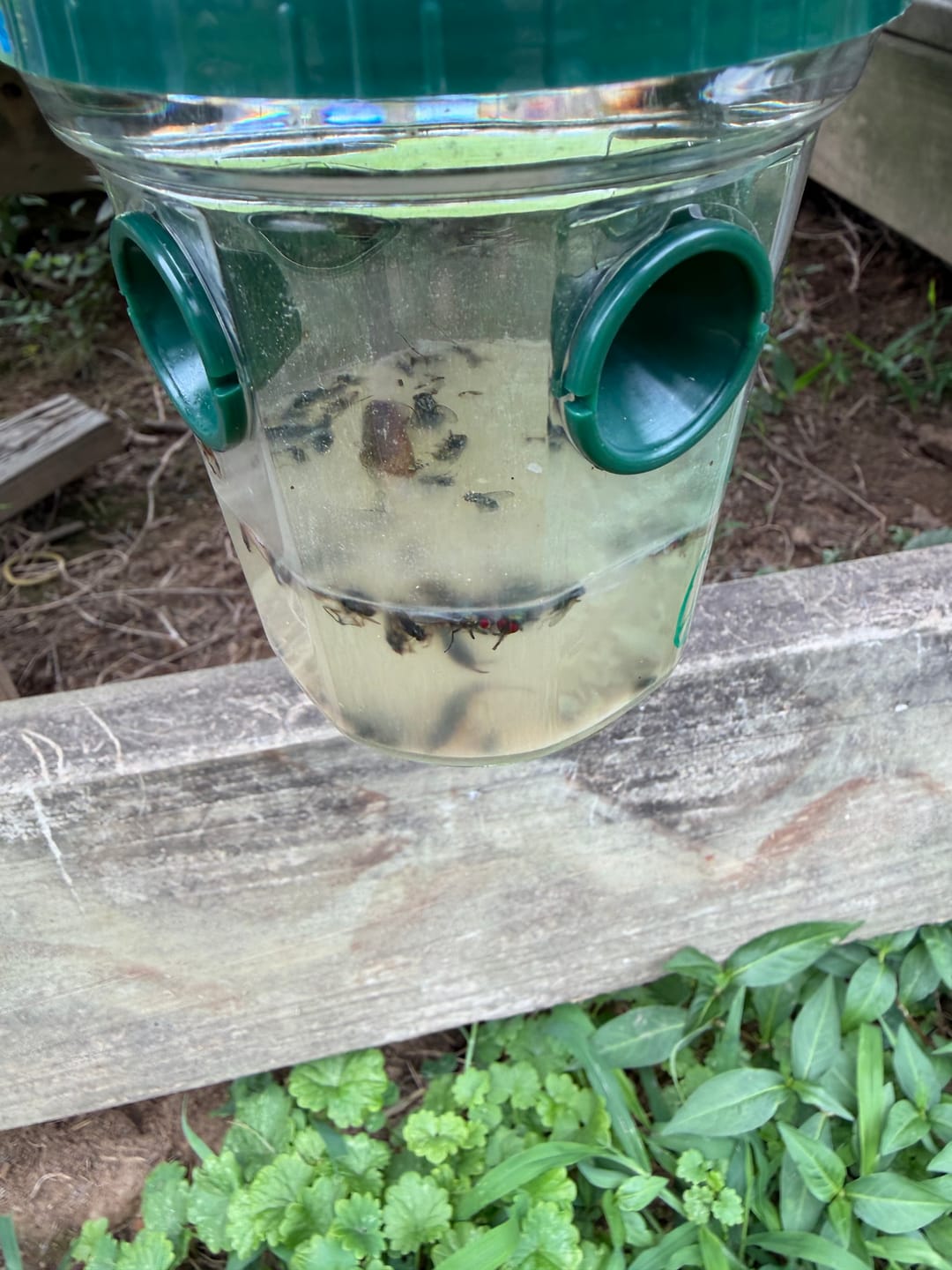 Customer photo review of Mosquito TNT 2.0