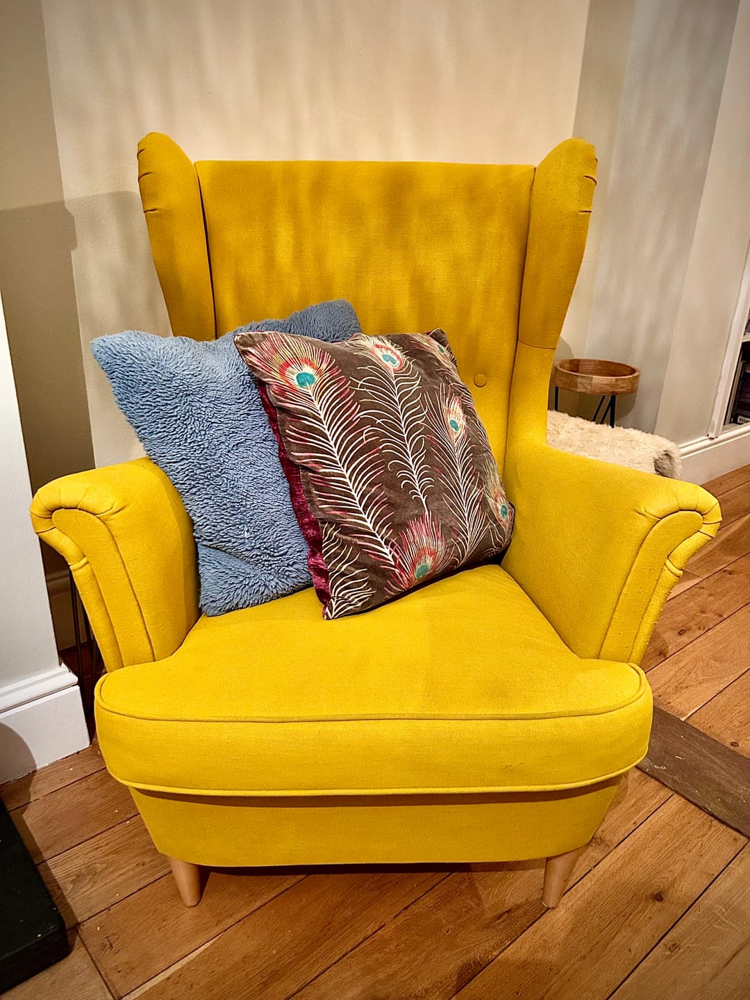 Customer photo review of Fabric Paint -- Mustard Yellow