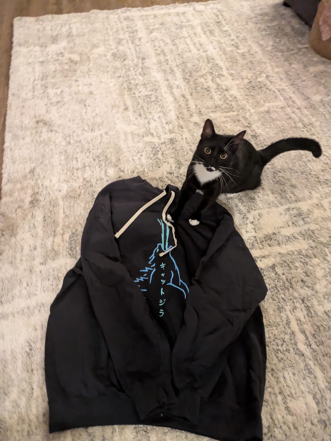Customer photo review of Atomic Roar Hoodie