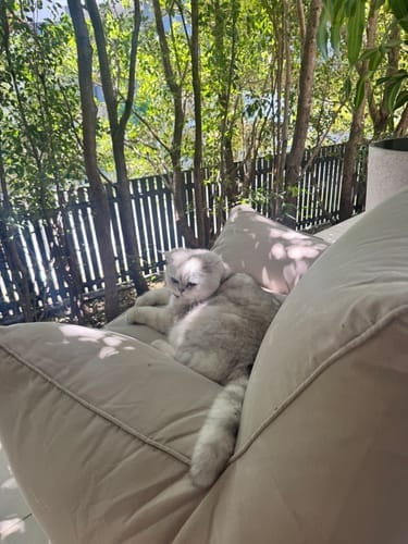 Customer photo review of DODO BEAN BAG - OUTDOOR DOVE WHITE