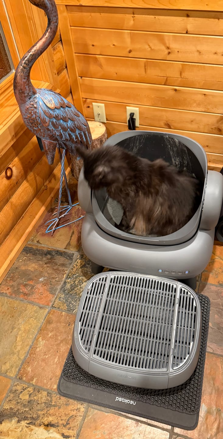 Customer photo review of Neakasa M1 Plus Open Top Self-Cleaning Cat Litter Box