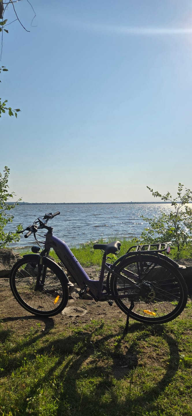 Customer photo review of Oiios Glide Ebike