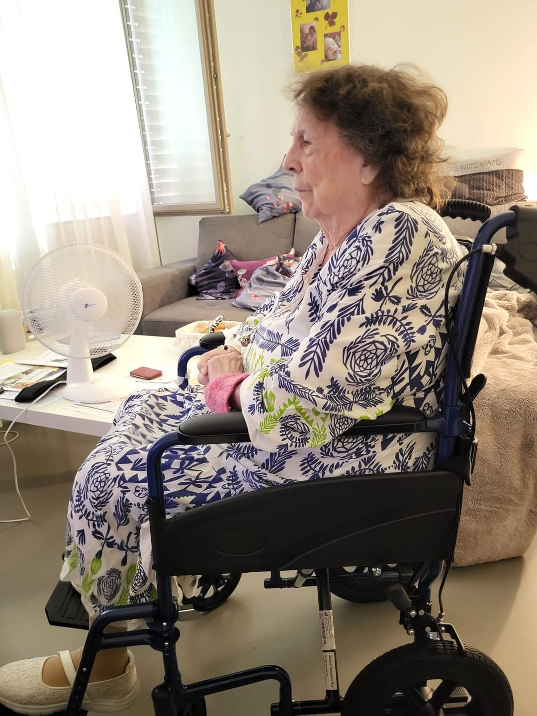 Customer photo review of Transportstuhl Expedition Plus