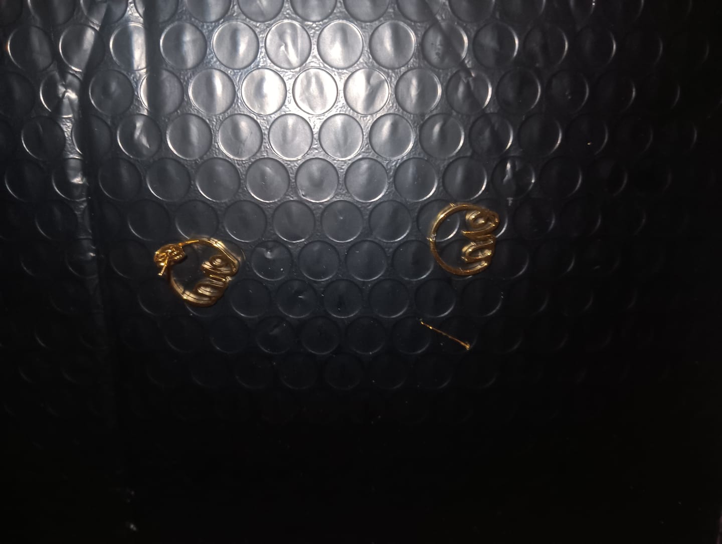 Customer photo review of Mini Era Logo Studs