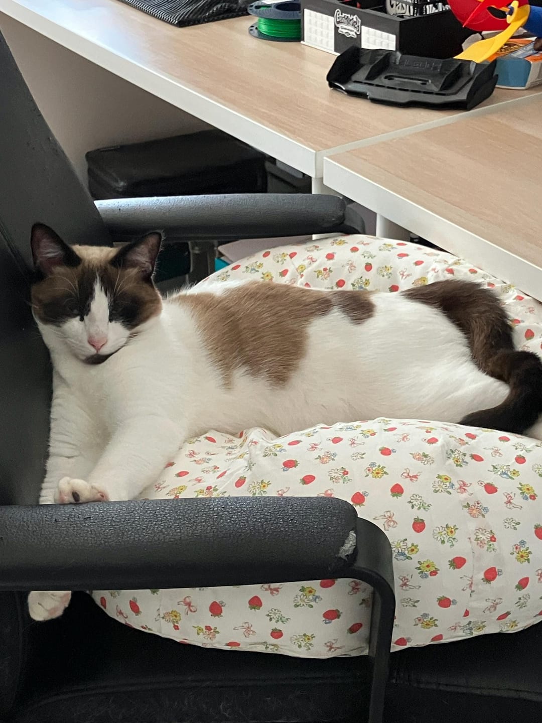 Customer photo review of Strawberry Jam Pudding Bed