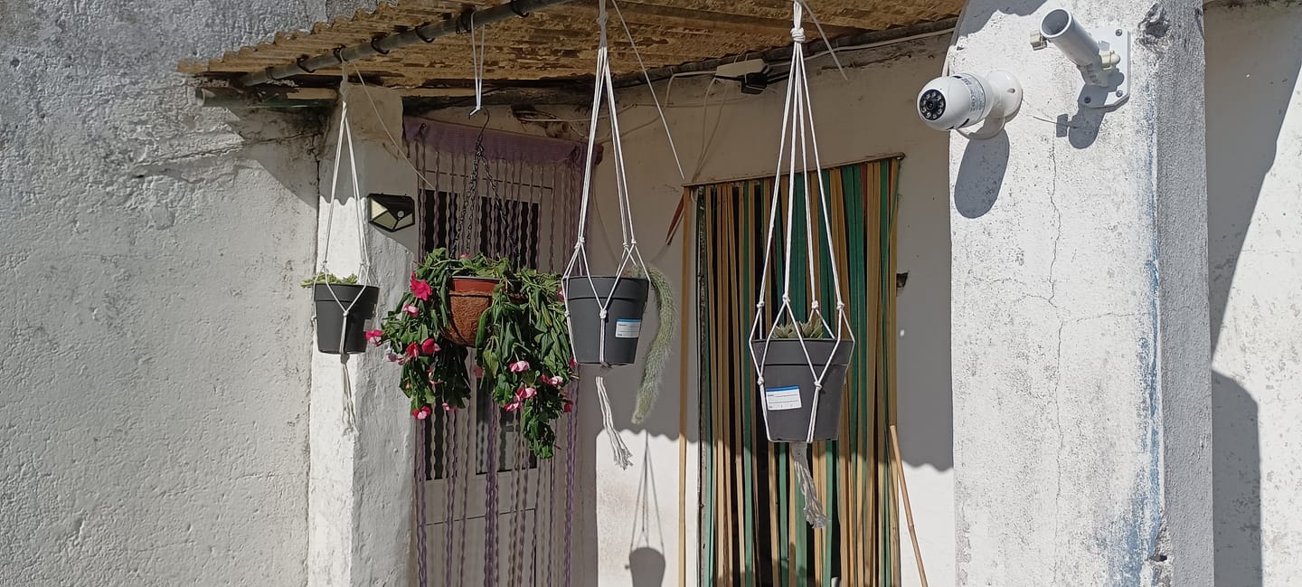 Customer photo review of Vinca Pendente