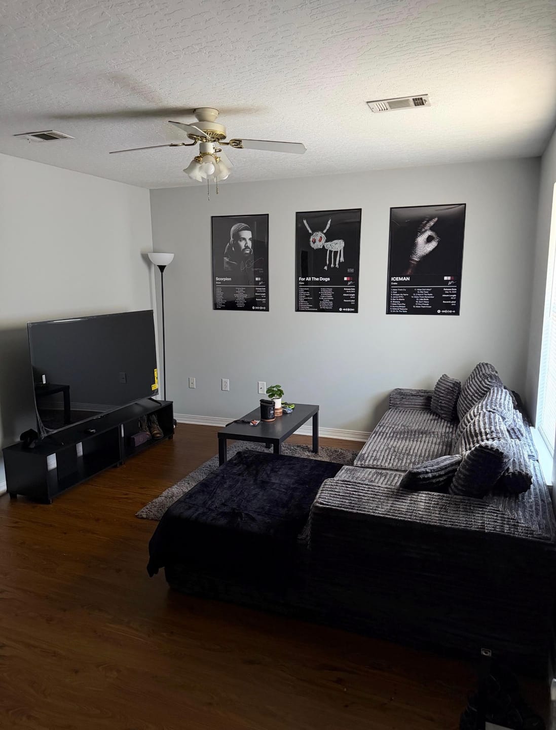 Customer photo review of Drake ICEMAN Album Poster