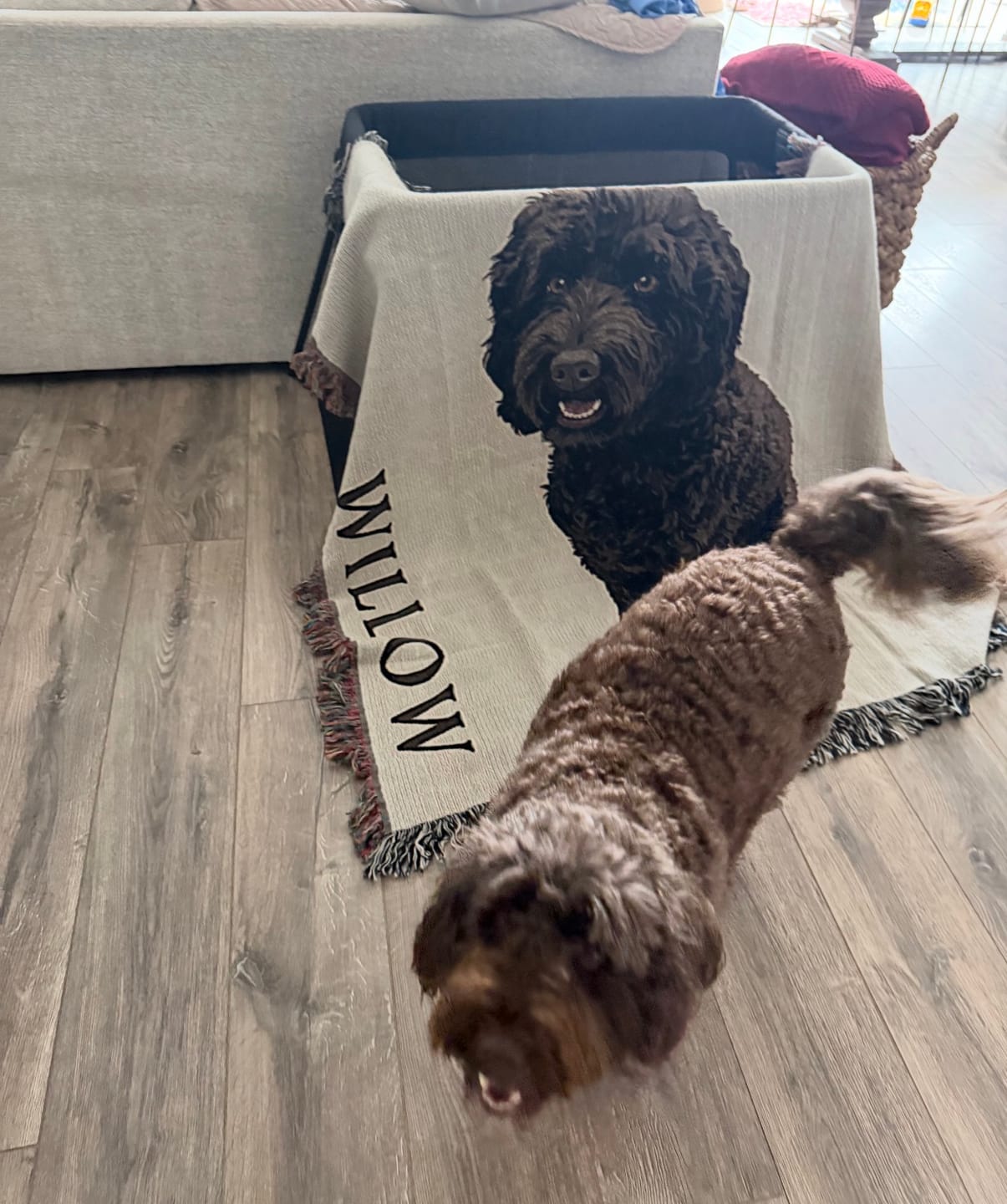 Customer photo review of Custom Heirloom Pet Throw Blanket