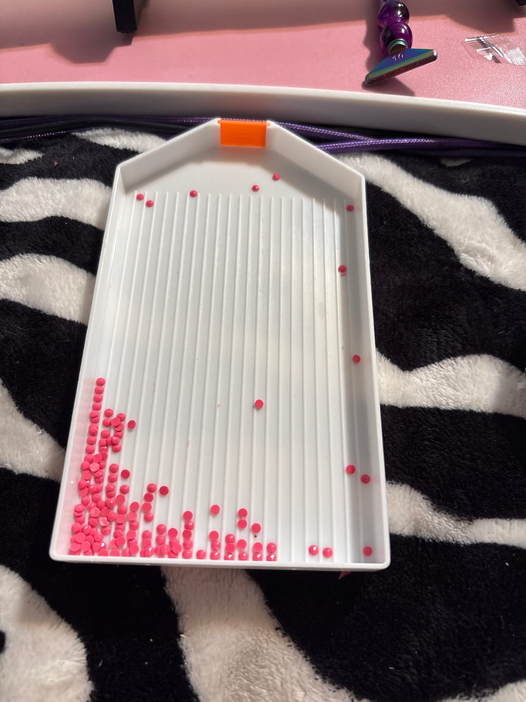 Customer photo review of Large Diamond Painting Dividers Tray OCU