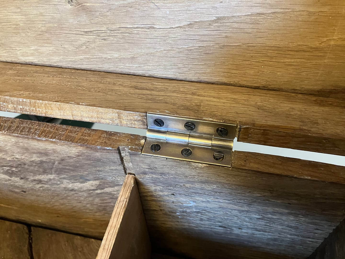 Customer photo review of Classic Cupboard Butt Hinge | Aged Brass (Sold in Singles)