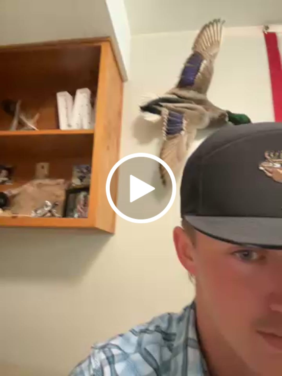 Customer video review of ShipInsure Package Protection