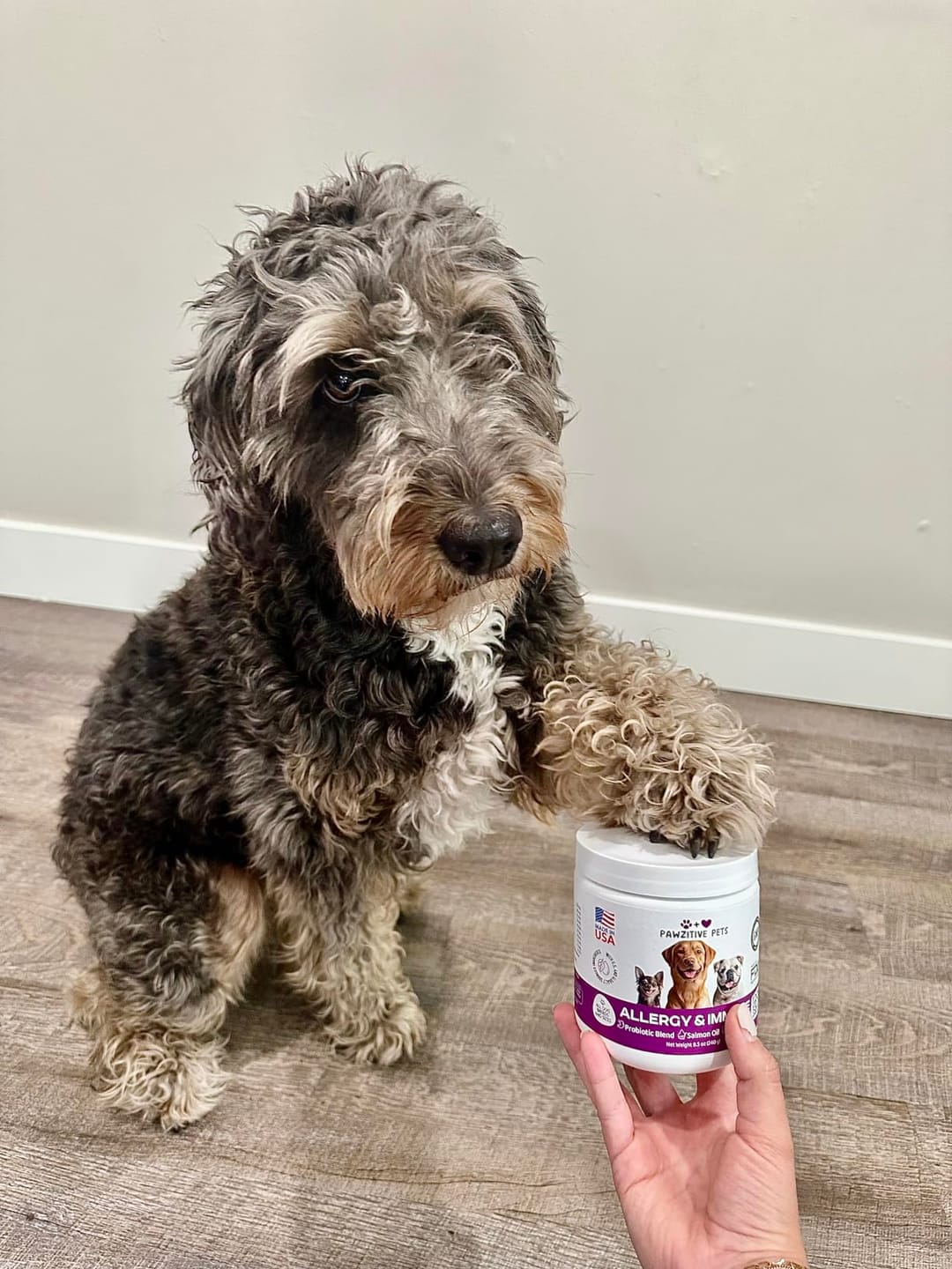 Customer photo review of Dog Allergy Chews for Itchy Skin, Paw Licking & Seasonal Allergies – Immune Support, 120 Soft Chews (Beef Flavor)