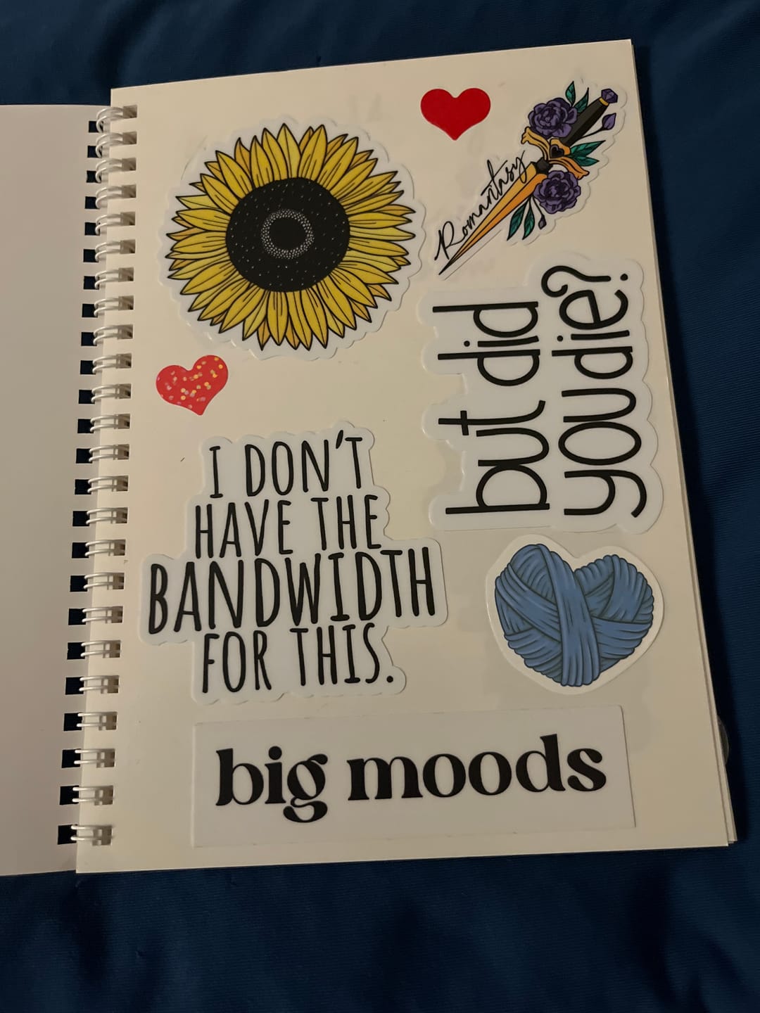 Customer photo review of The Unused Sticker Book