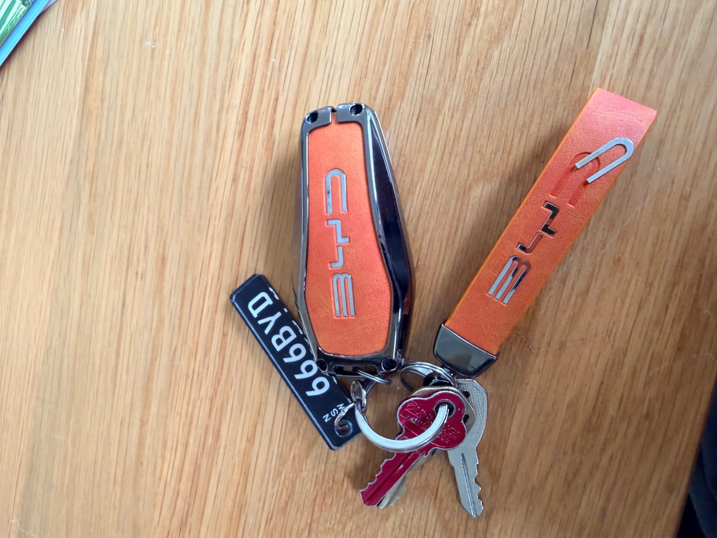 Customer photo review of NSW Euro Licence Plate Custom Keychain 🇪🇺