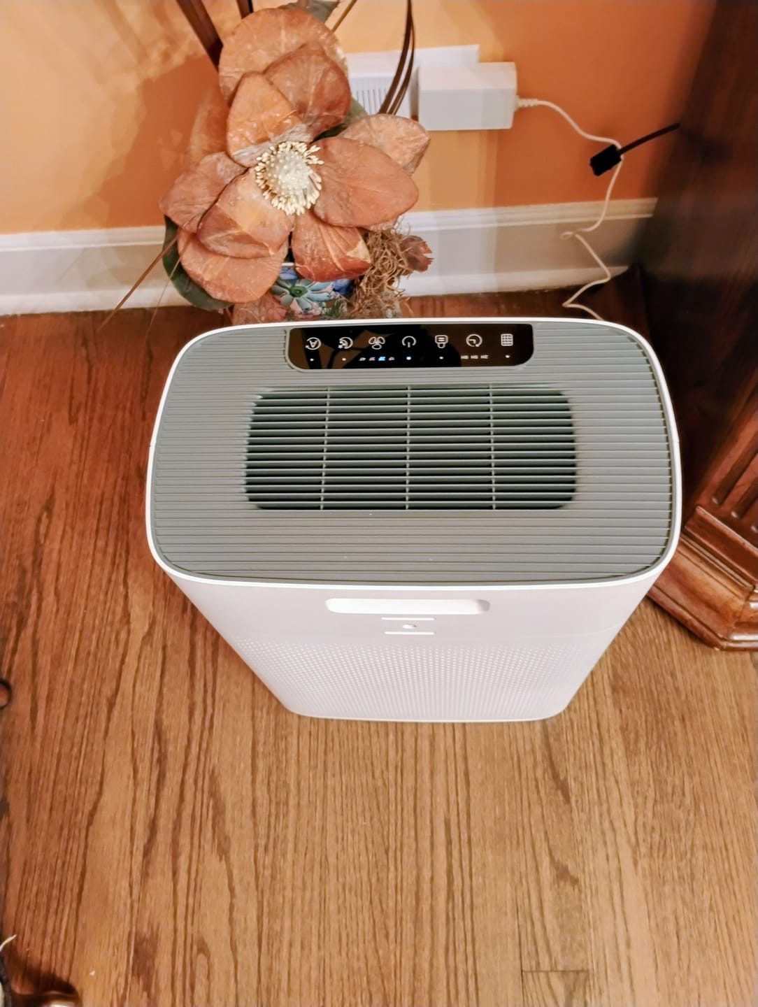 Customer photo review of Smart Air Purifier V1 Pro – Powerful HEPA Filtration with PM2.5 Sensor, App & Voice Control for Clean Indoor Air