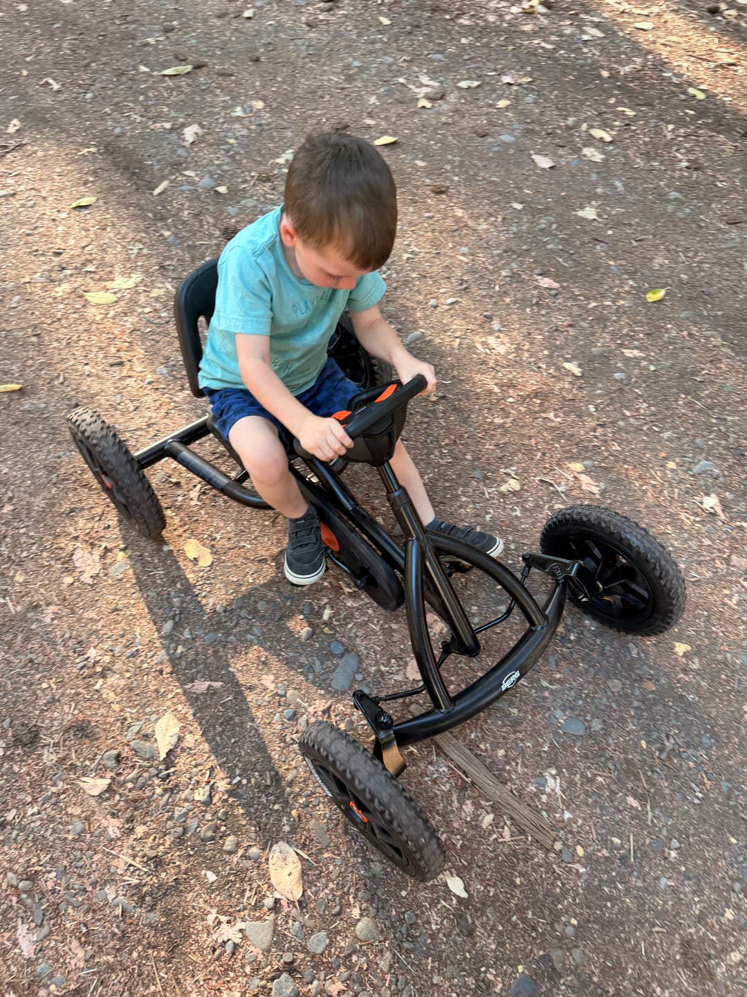 Customer photo review of BERG Buddy