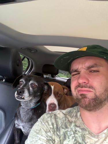 Reviewer's green Big Camp Hat worn inside a car with two dogs in the backseat.