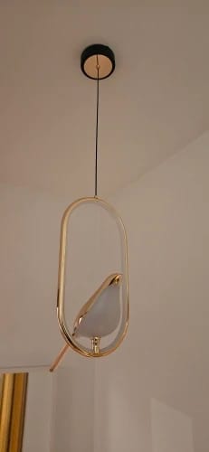 Customer photo review of Sculptural Oval Pendant Light With Warm LED Glow, Adjustable Drop