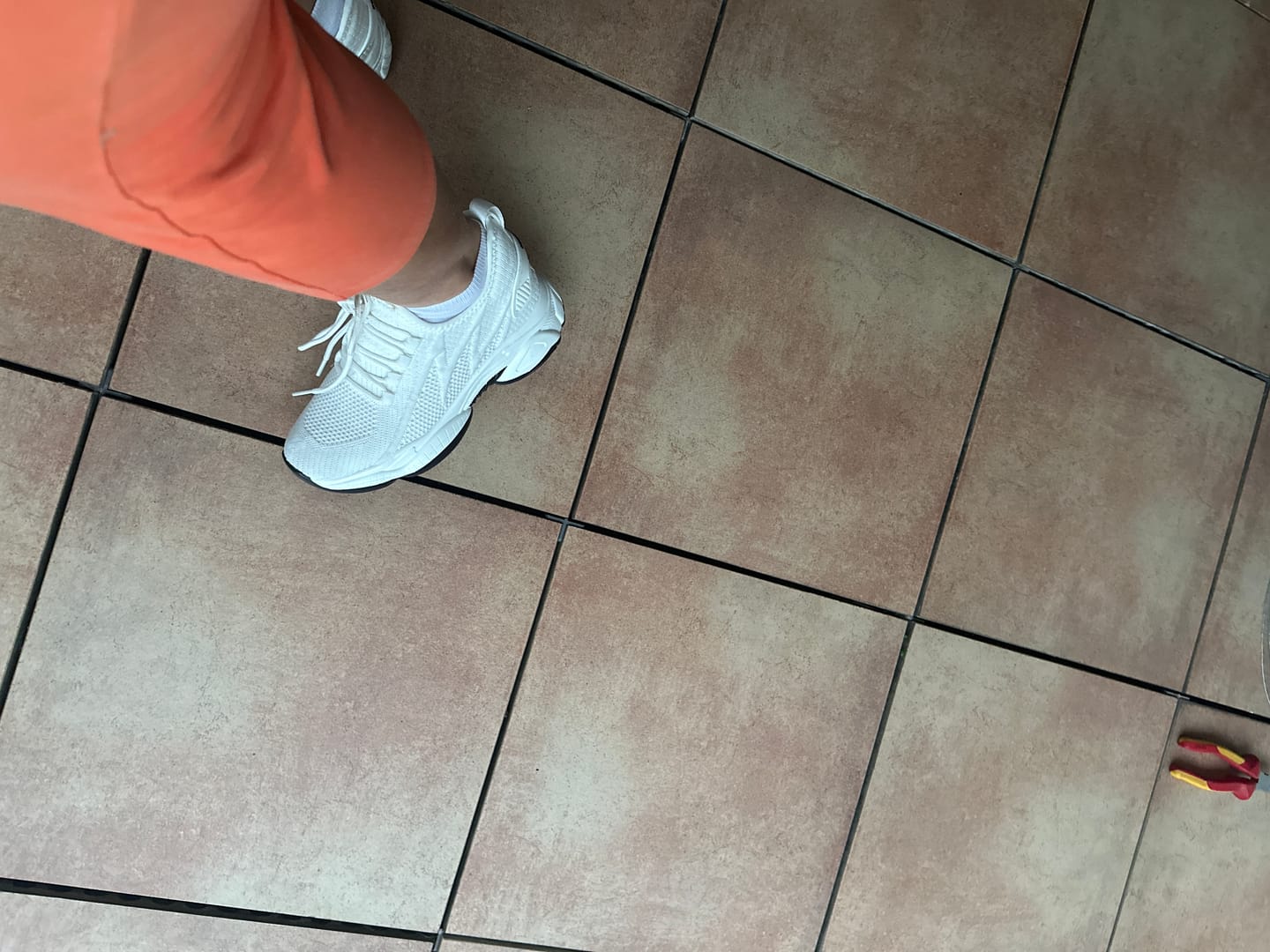 Customer photo review of ELEVATESHOES LIMITLESS