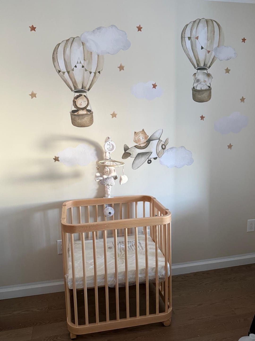 Customer photo review of Cute Flying Animals