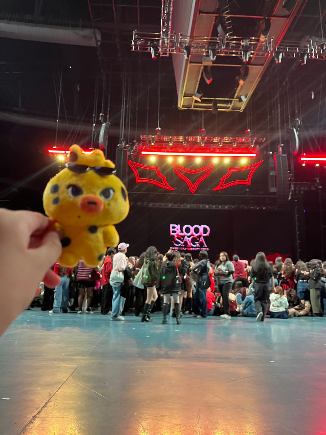 Customer photo review of ENHYPEN - INSIDE YOUR POCKET, ENCHIN CHARACTER OFFICIAL MD PLUSH KEYRING