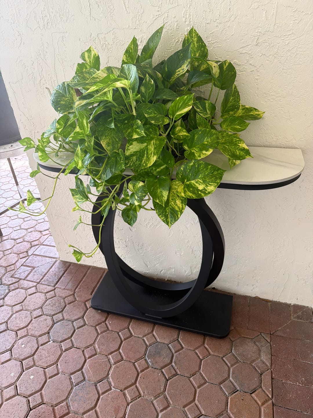 Customer photo review of Price Difference Reissue Accessories