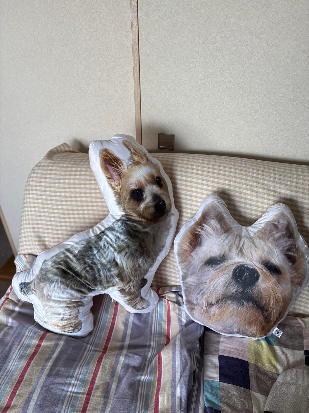 Customer photo review of 世界にひとつだけ♪好きな写真で作るオーダーメイドクッション（20～80cm）