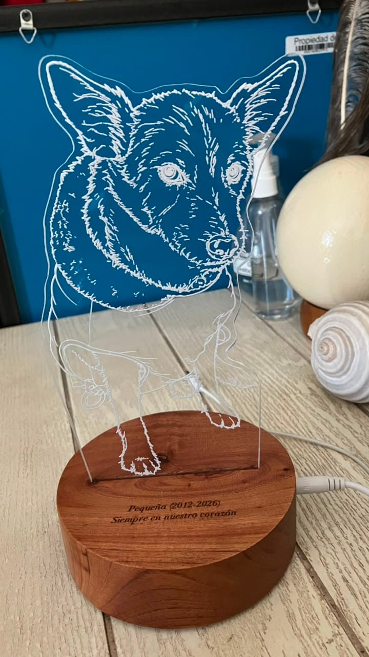 Customer photo review of Lámpara dibujo de mascota