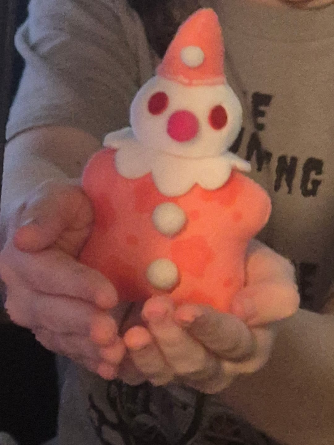 Customer photo review of Cute Lil Clown Plushies!