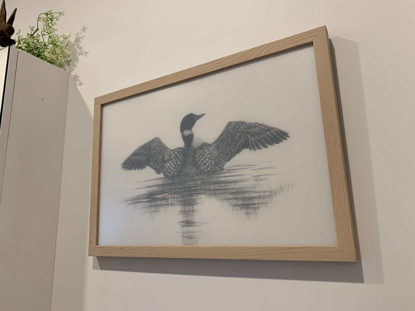 Customer photo review of Canadian Loon - wildlife art print