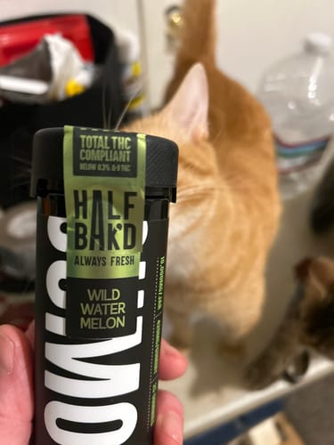 Customer photo review of HALF BAK'D SUMO MANGO SOUR'D GUMMIES THCA/P/D8 10000MG 25CT/JAR