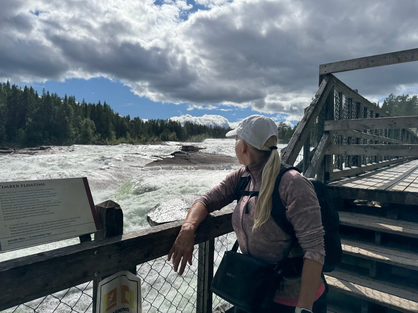 Customer photo review of Travel Cooler