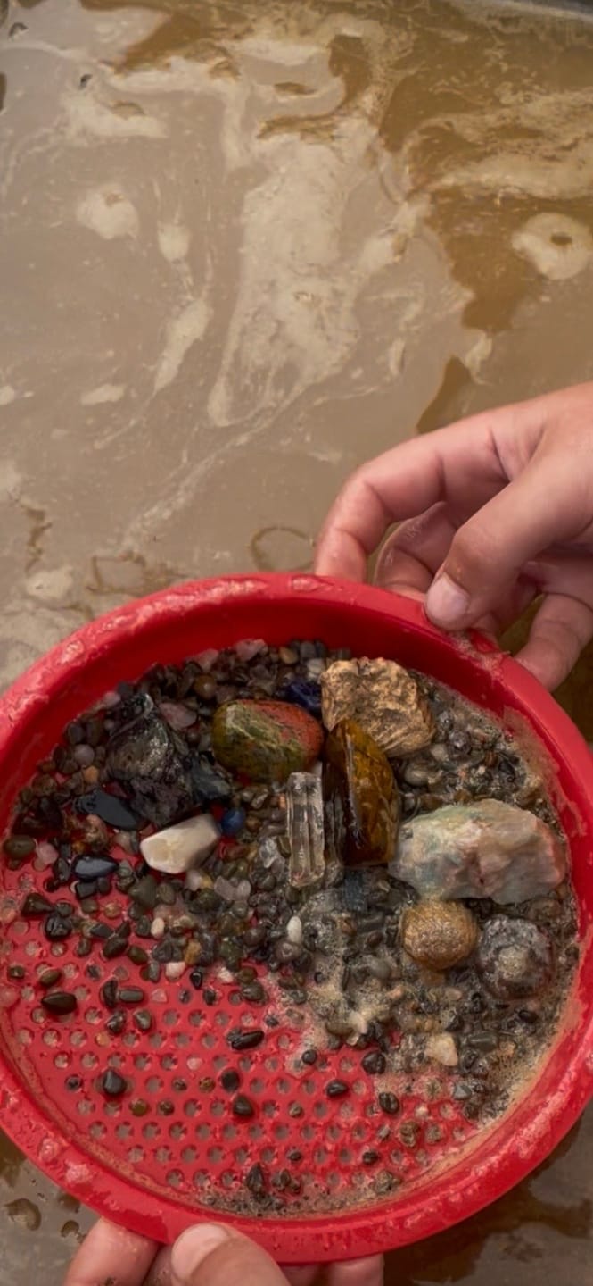Customer photo review of Declan’s Mix Bucket