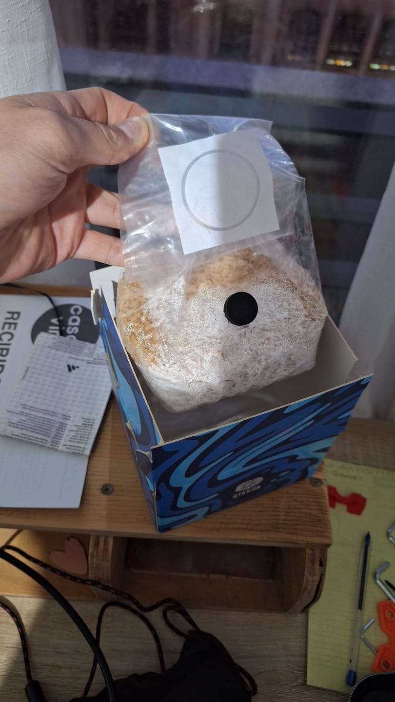 Customer photo review of Ayekan Box