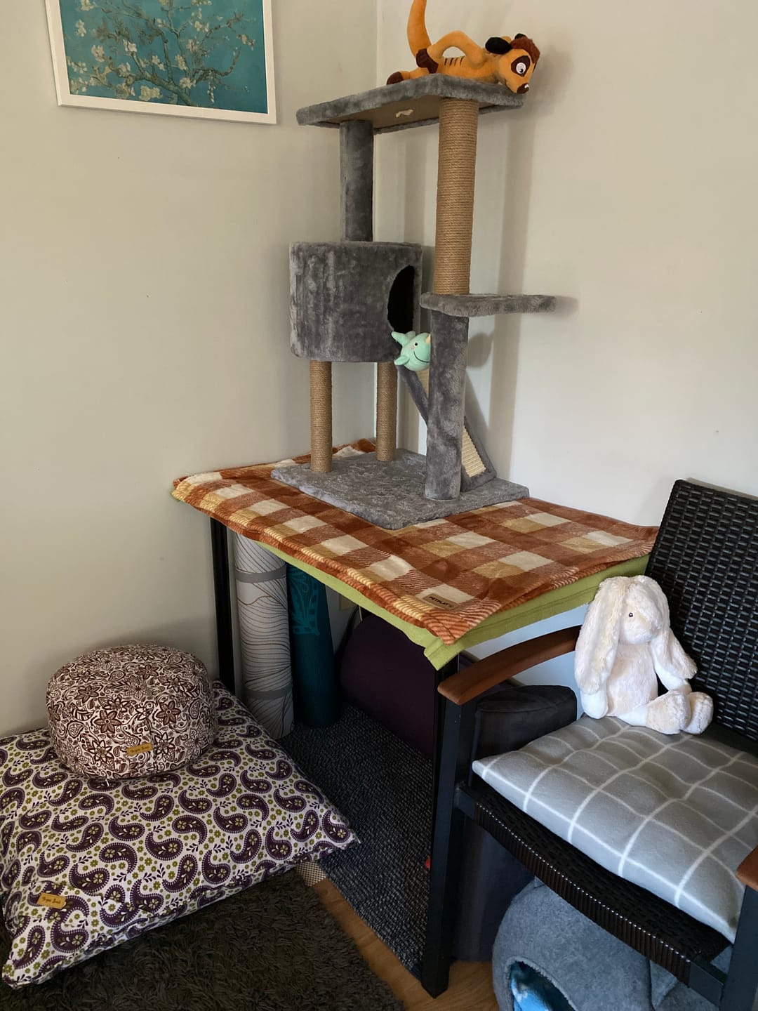 Customer photo review of RONDO Meditation Cushion | Paisley Flower | Chocolate