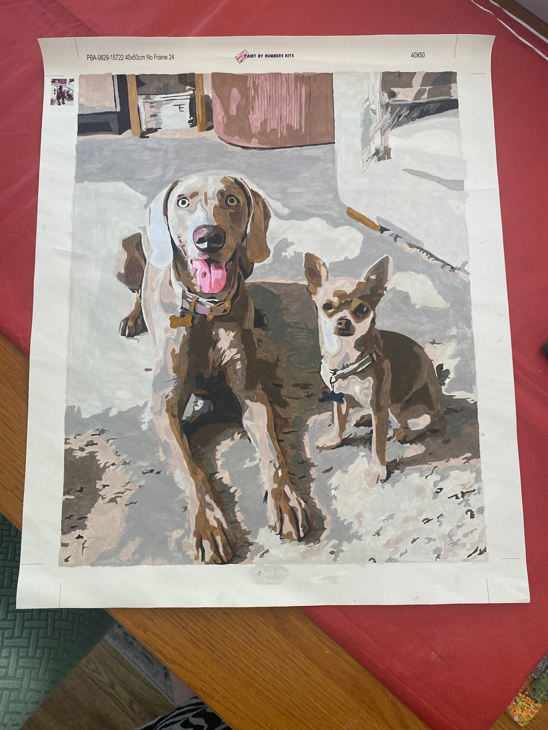 Customer photo review of Custom Paint By Numbers