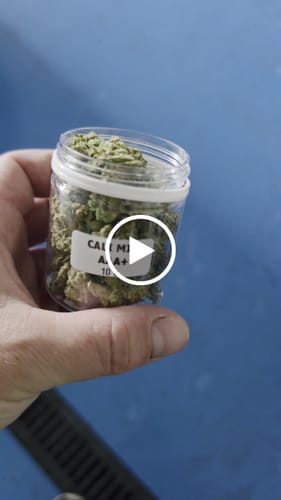 Customer video review of CALI MIX AAA+ – Premium Selection