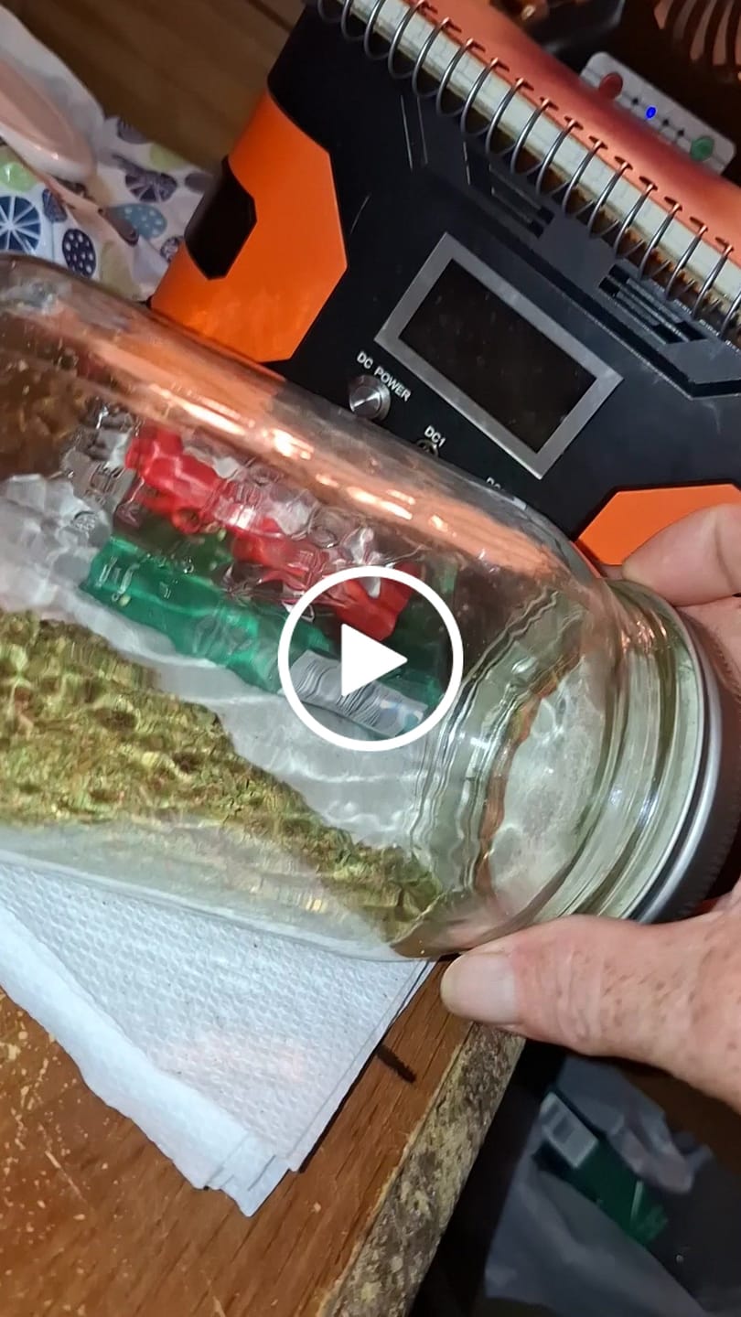 Customer video review of (BOGO)1oz Apple Fritter Shake - Garden I
