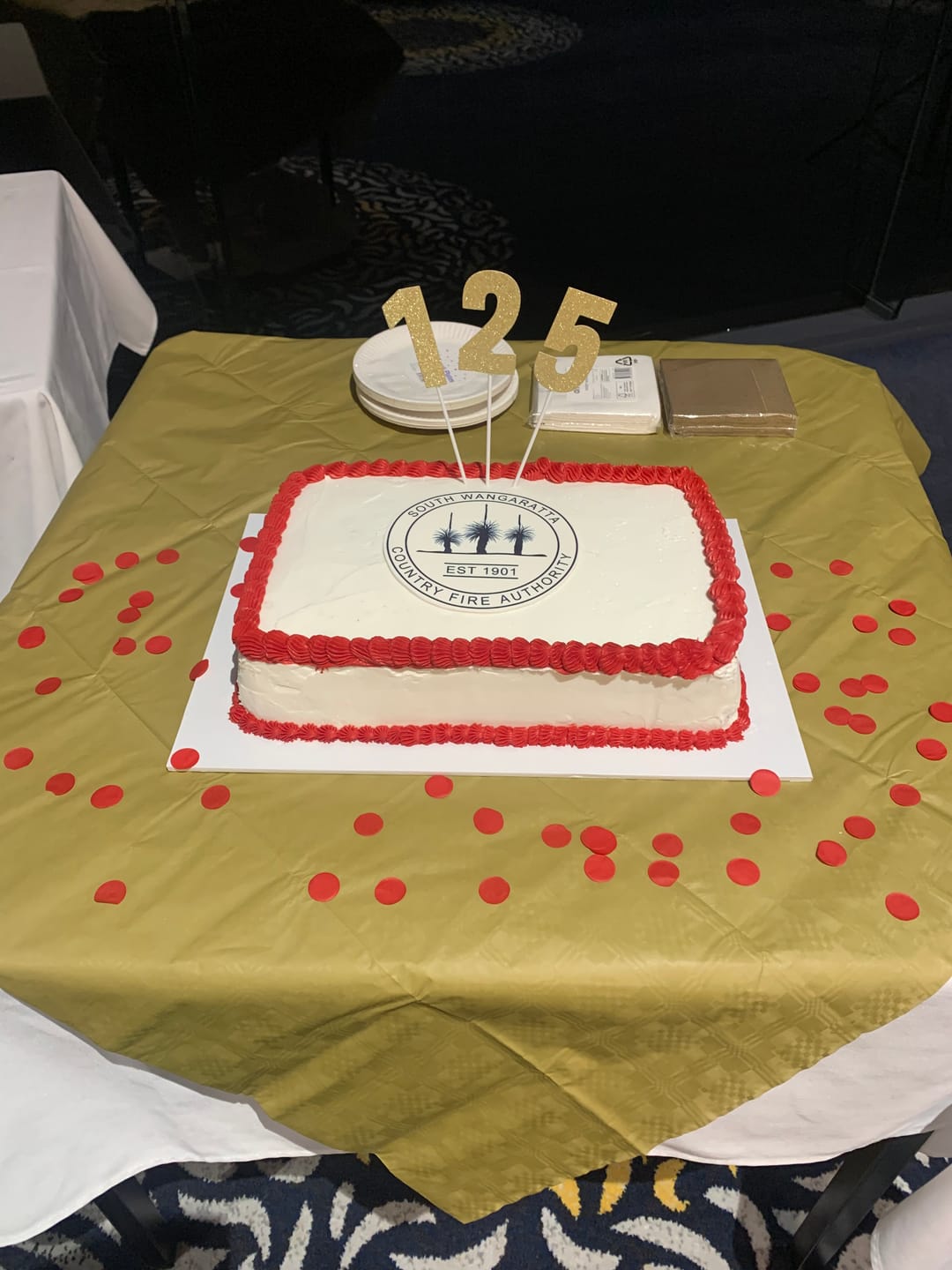Customer photo review of 15 cm Round Custom Edible Icing Image