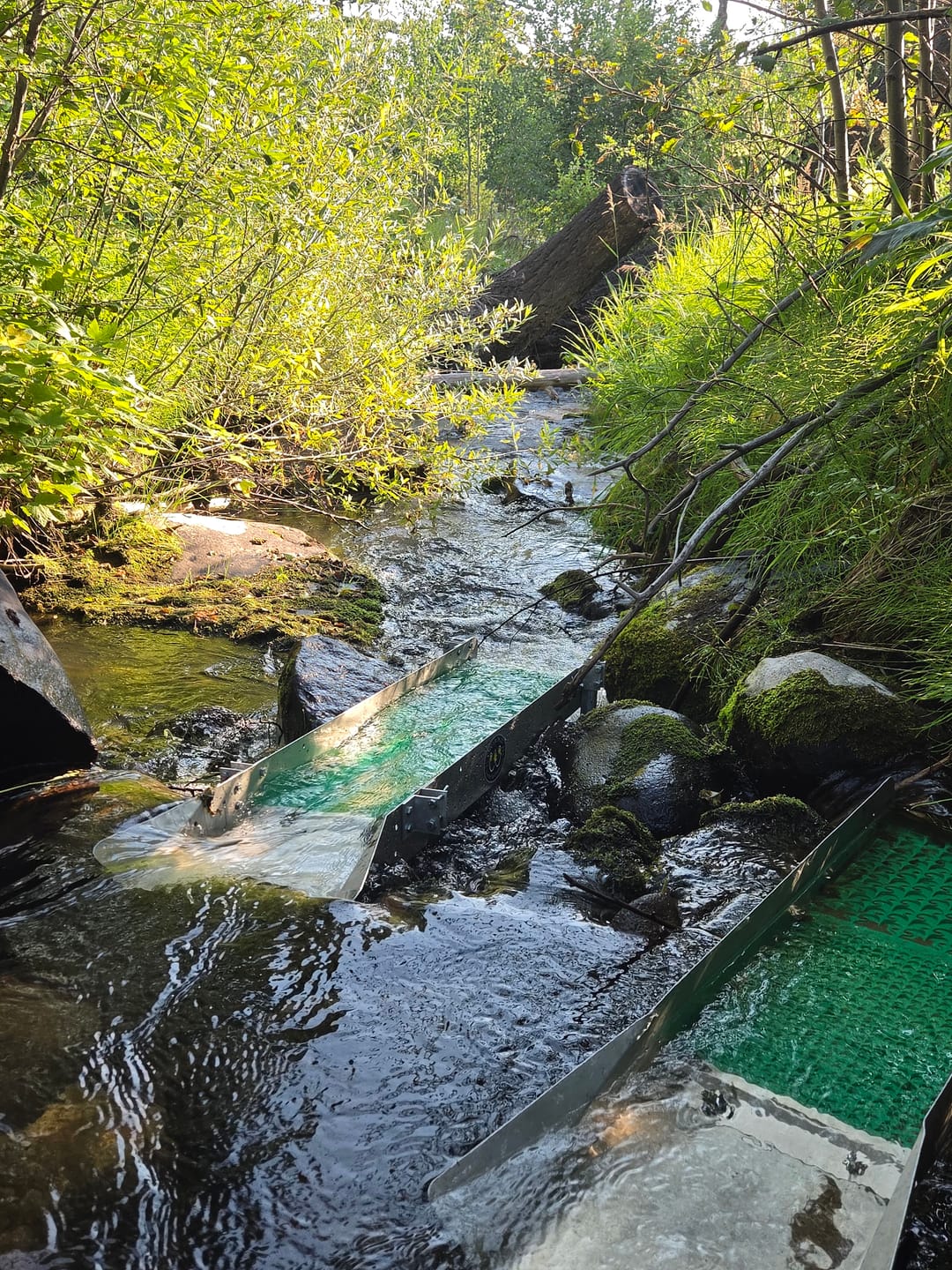 Customer photo review of 10X24 Combo Sluice Mat - Dream Mat | Gold Prospecting Equipment