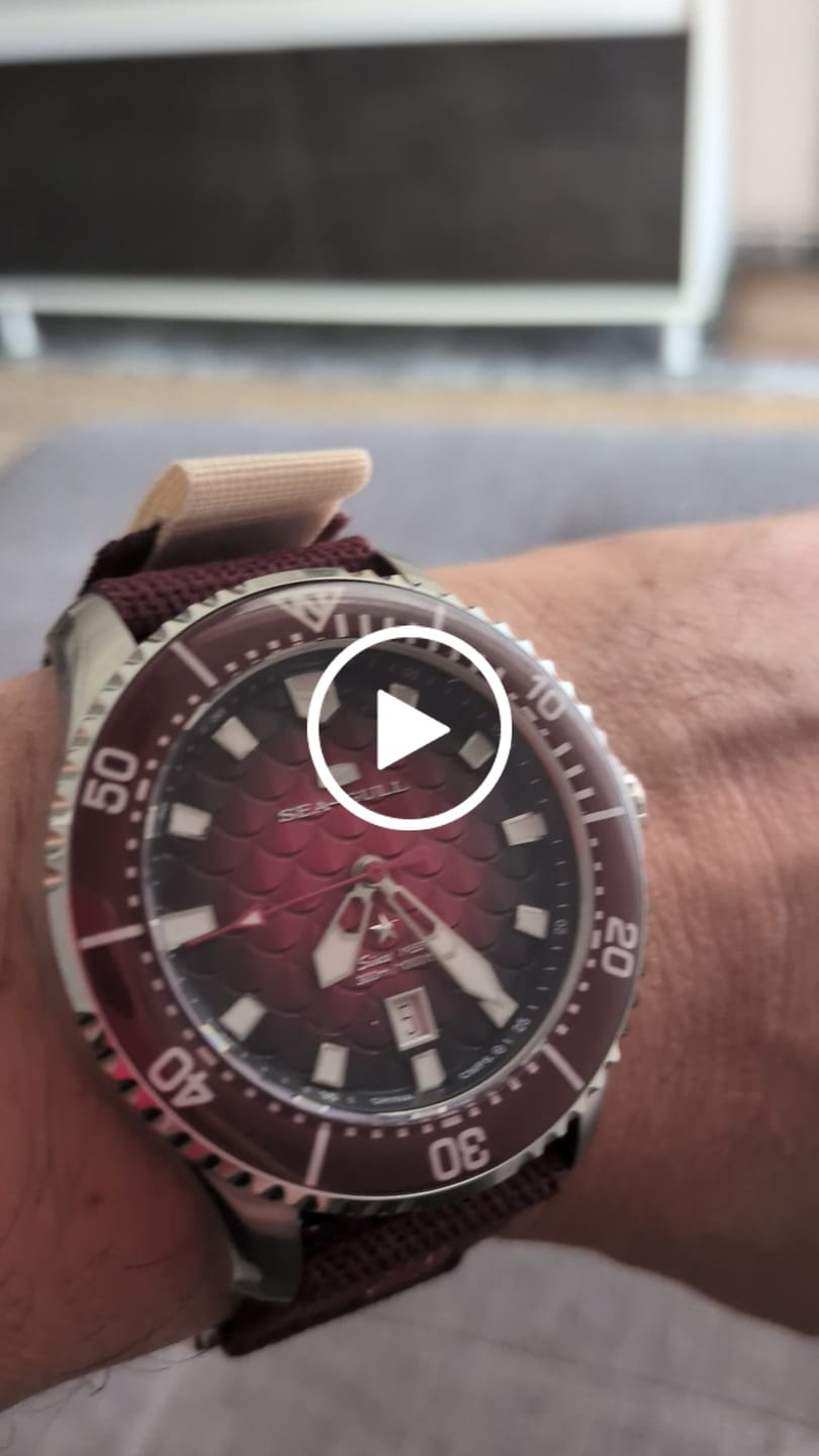 Customer video review of 🎁 Sea-Gull Watch Box | Black Travel Case | Single Watch Storage (100% off)